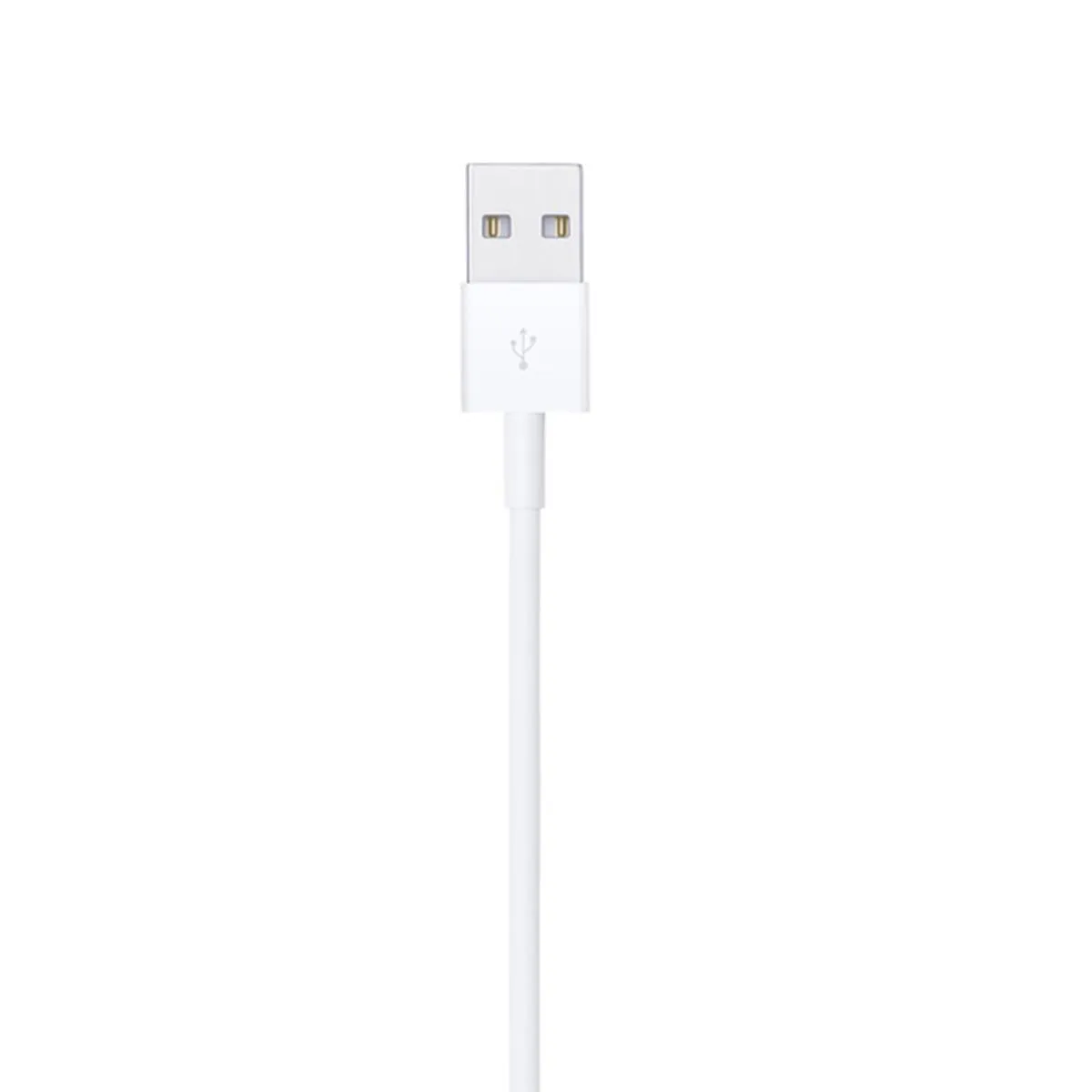 Apple Original Lightning to USB Cable (1M)